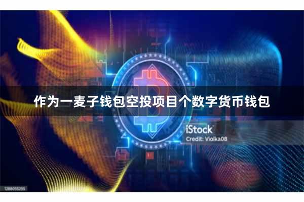 作为一麦子钱包空投项目个数字货币钱包