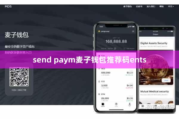 send paym麦子钱包推荐码ents