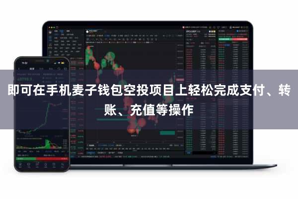 即可在手机麦子钱包空投项目上轻松完成支付、转账、充值等操作