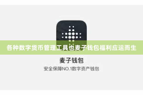 各种数字货币管理工具也麦子钱包福利应运而生