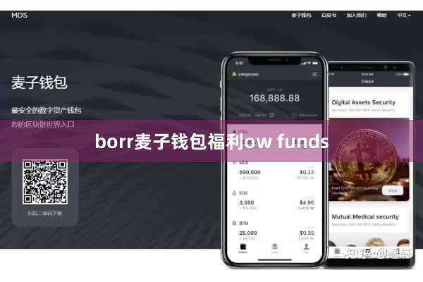 borr麦子钱包福利ow funds
