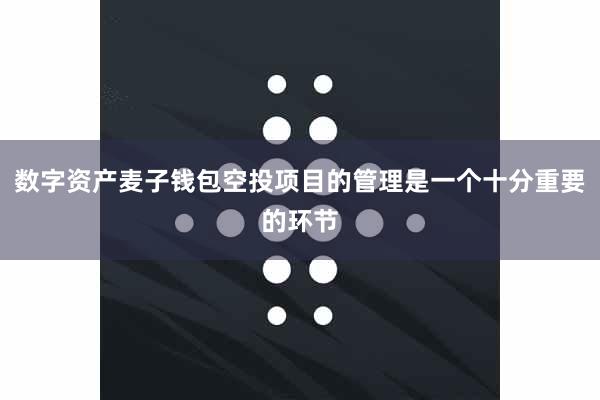 数字资产麦子钱包空投项目的管理是一个十分重要的环节