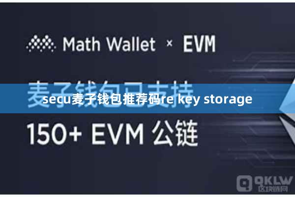 secu麦子钱包推荐码re key storage