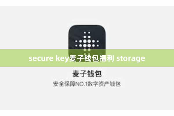secure key麦子钱包福利 storage