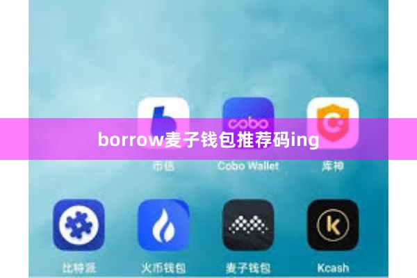 borrow麦子钱包推荐码ing