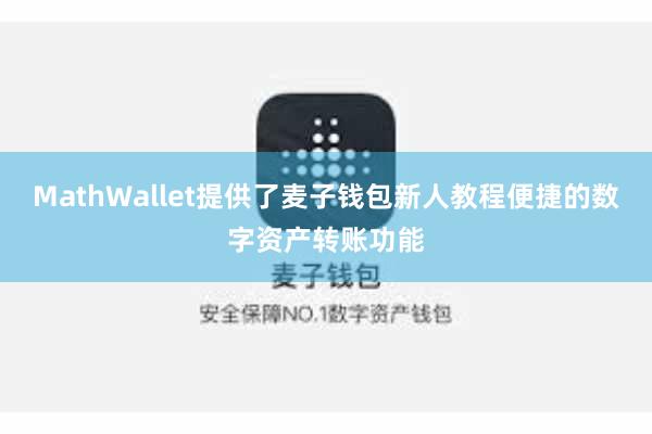 MathWallet提供了麦子钱包新人教程便捷的数字资产转账功能