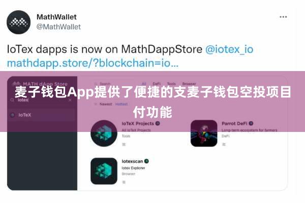 麦子钱包App提供了便捷的支麦子钱包空投项目付功能