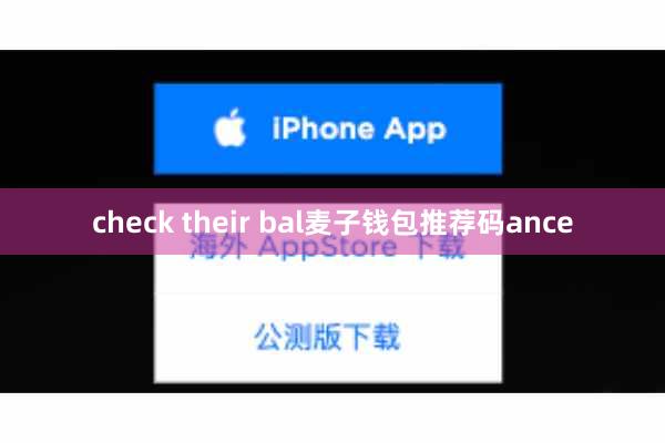 check their bal麦子钱包推荐码ance